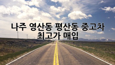 나주 영산동, 평산동 중고차 최고가 매입!